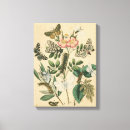 Suche nach raupe leinwandbilder Tiere