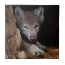 Suche nach wolf fliesen Winter