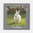 Suche nach humorvoll magnete Hund