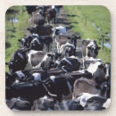 Suche nach milchkuh untersetzer Landwirtschaft