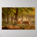 Suche nach autumn forest poster Wild