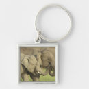 Suche nach indischer elefant schlüsselanhänger Elephas maximus