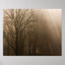 Suche nach rochen poster Herbst