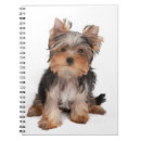 Suche nach yorkshire terrier kleine notizbücher Haustier