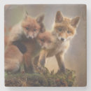 Suche nach roter fuchs untersetzer Niedlich