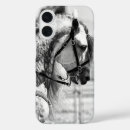 Suche nach weißes pferd iphone hüllen Reiter