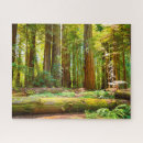 Suche nach redwood puzzle Natur