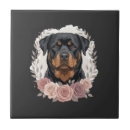 Suche nach rottweiler fliesen Weimaraner