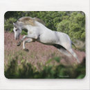 Suche nach galopp mousepads Reiter