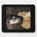 Suche nach flaumig mousepads Natur