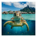 Suche nach hawaii schildkröten poster Tropisch