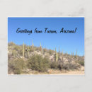 Suche nach tucson postkarten Saguaro