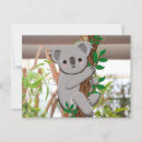 Suche nach koala postkarten Darstellung