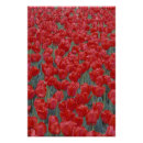 Suche nach rote pflanze poster Usa