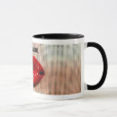 Suche nach sinnlich tassen Lippen