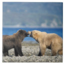 Suche nach säugetiere fliesen Tragen