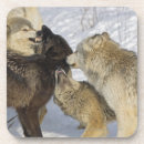 Suche nach angriff untersetzer Gefahr