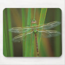 Suche nach georgia mousepads Superstock