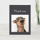 Suche nach awesome karten Animal