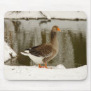 Suche nach gans mousepads Bauernhof