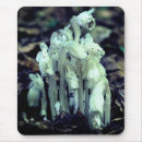 Suche nach wildblume mousepads Mutter