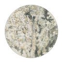 Suche nach antike schneidebrettchen Meer