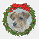 Suche nach hundeschlitten aufkleber Für haustiere