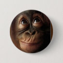 Suche nach orang utan buttons Primat