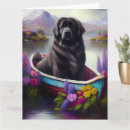 Suche nach neufundlaender karten Hund