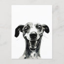 Suche nach whippets postkarten Niedlich