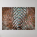 Suche nach krokodile poster Schlange