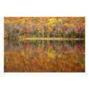 Suche nach yankees poster Herbst