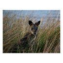 Suche nach wildes kind poster Jede person