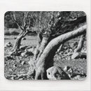 Suche nach bäume mousepads Fotografie