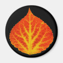 Suche nach roter baum magnete Herbst