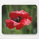 Suche nach single mousepads Natur