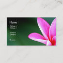 Suche nach plumeria visitenkarten Natur