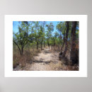 Suche nach bäume australien Fotografie