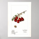 Suche nach innenarchitektur poster Aquarell