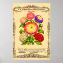 Suche nach retro blumen poster Blumig