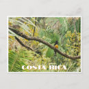 Suche nach costa postkarten Natur