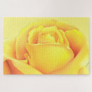 Suche nach gelbe rosen puzzle Sommer