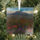 Suche nach indianer ornamente Landschaft