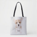 Suche nach corgi taschen Niedlich