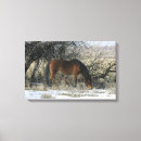 Suche nach mustangs leinwandbilder Bob sprache