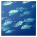 Suche nach schule der fische fliesen Natur