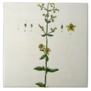 Suche nach pre 19th fliesen Blackwell