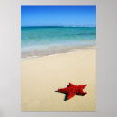 Suche nach weißer strand poster Nautisch