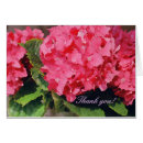 Suche nach pompoms postkarten Blume