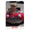 Suche nach facebook magnete Hund